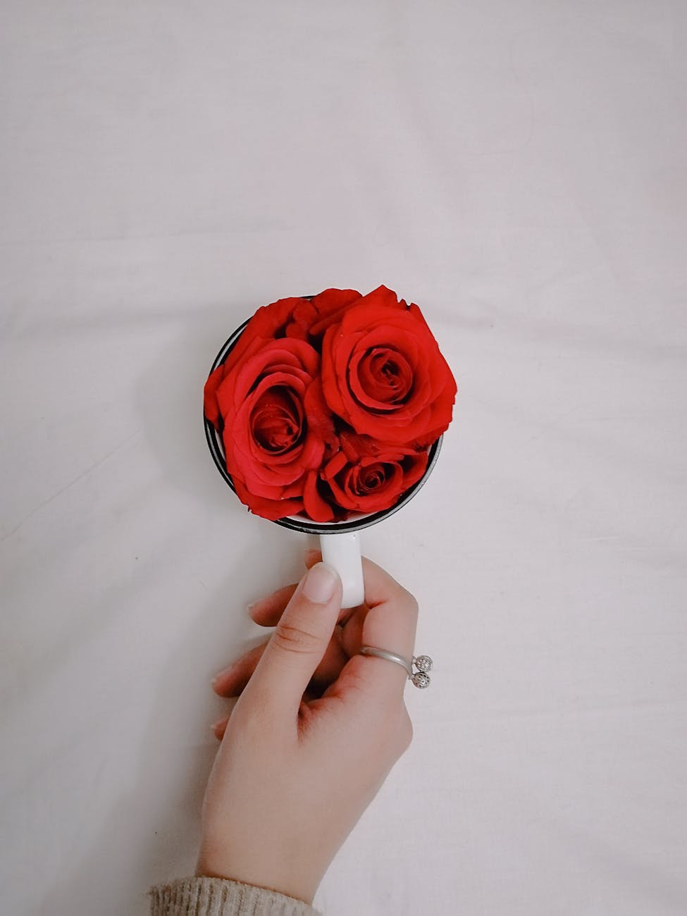 A hand holding a mug filled with vibrant red roses against a clean background.